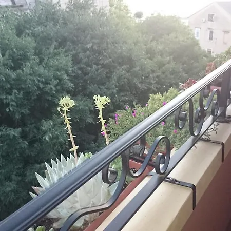 Aquileia * プーラ